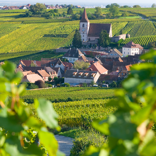 Brut Blanc de Blancs Cremant d' Alsace 0.75 l 12% vol