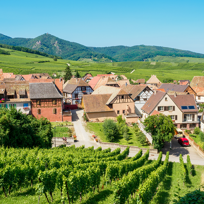 Brut Rose Cremant d'Alsace 0.75 l 12% vol