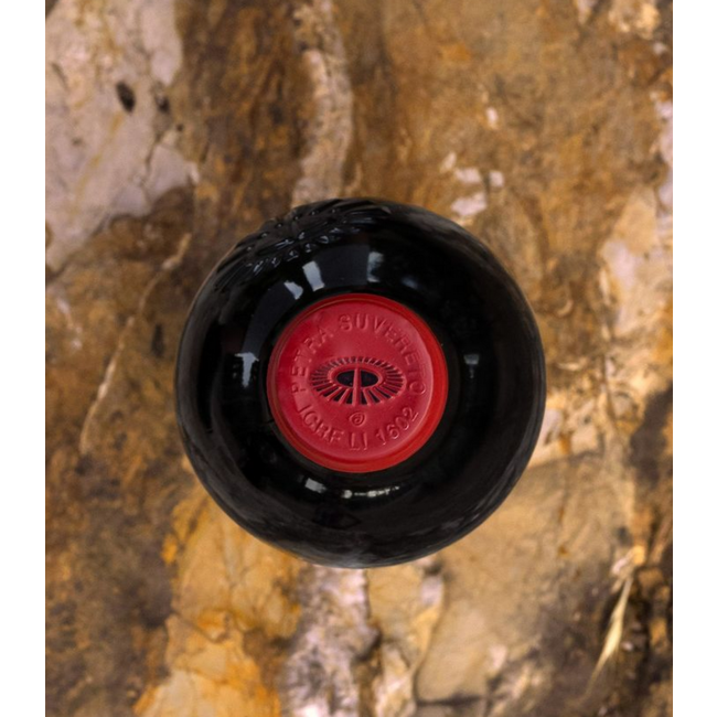 Potenti (CS) Toscana IGT 2019 0.75 l