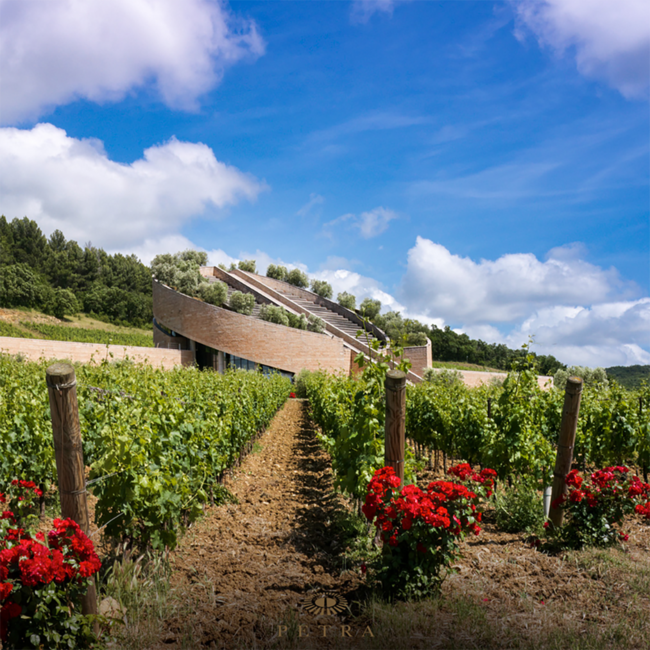 Potenti (CS) Toscana IGT 2019 0.75 l