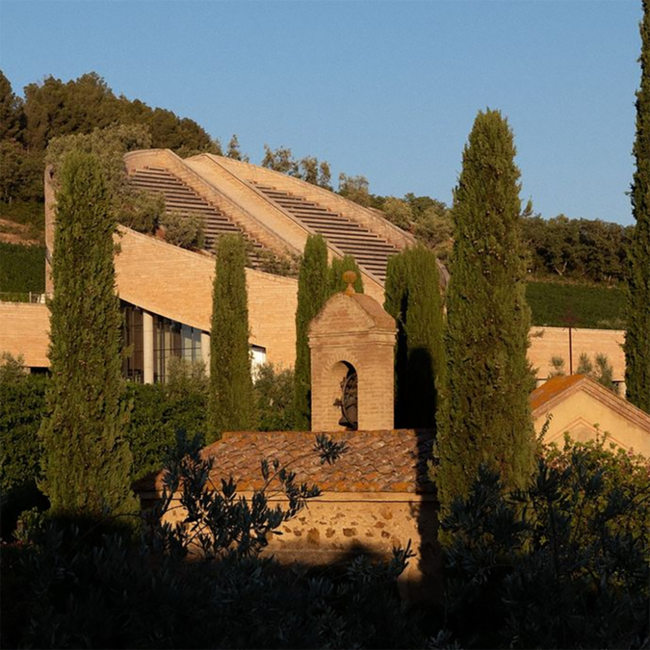 Potenti (CS) Toscana IGT 2019 0.75 l