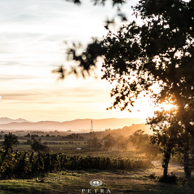 Alto Sangiovese Toscana IGT 2020 0.75 l