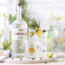 Marconi 46 Dry Gin 0.7 l 46% vol