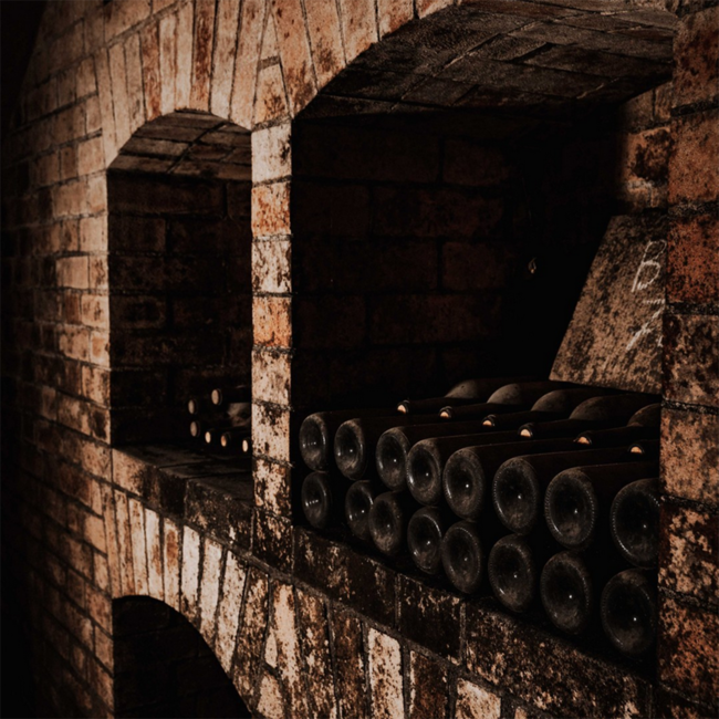 Dolcetto d'Alba DOC 2024 0.75 l