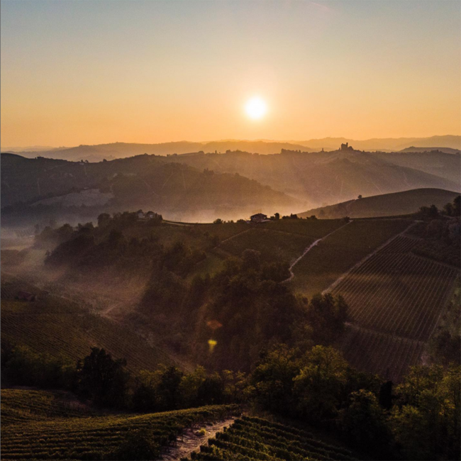 Dolcetto d'Alba DOC 2024 0.75 l