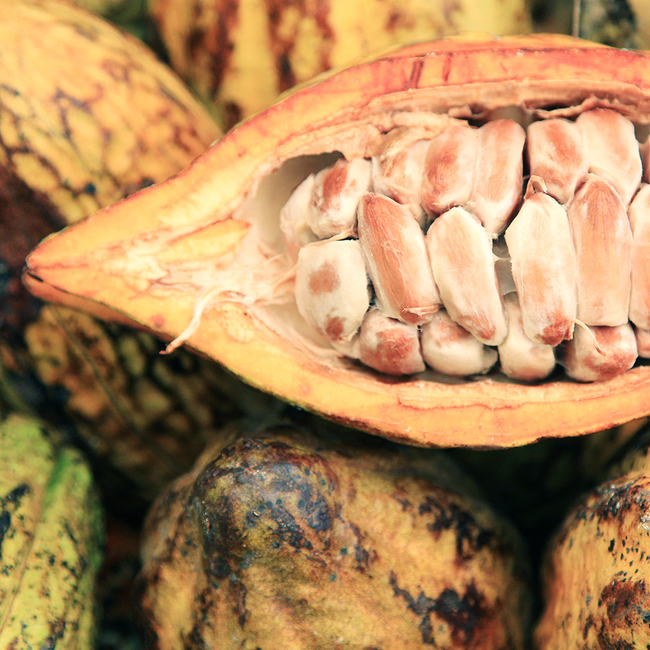 Tavoletta al latte con nocciole - Vollmilchschokolade mit Nussmischung (100 g)