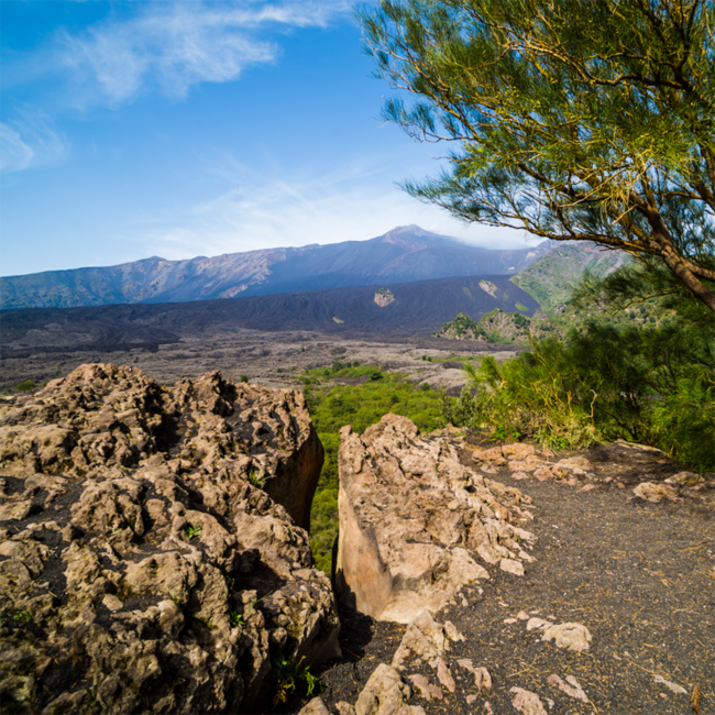 Idda Etna Rosso DOC 2020 0.75 l