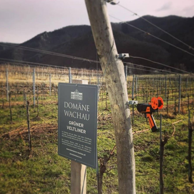 Grüner Veltliner Smaragd Ried Achleiten DAC 2024 0.75 l