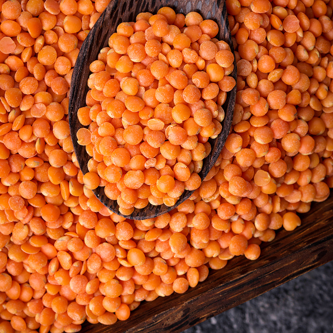 Fusilli lenticchie rosse - rote Linsenpasta (250 g)