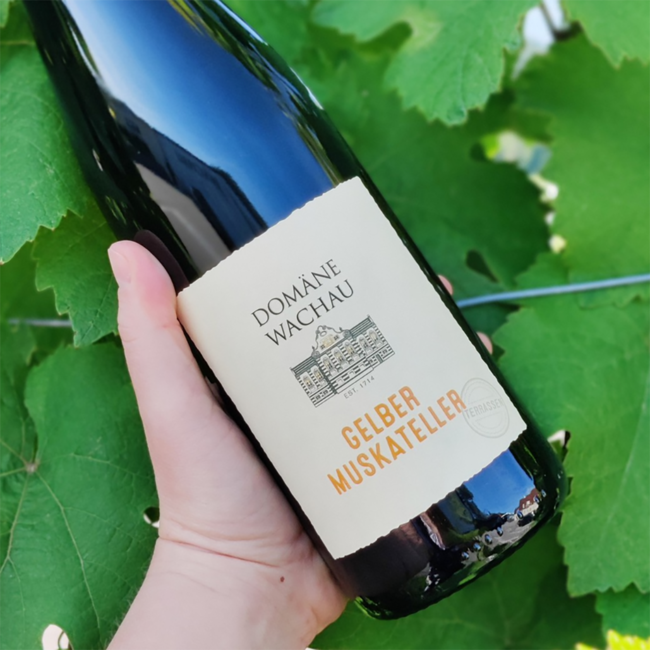 Gelber Muskateller Terrassen DAC 2024 0.75 l