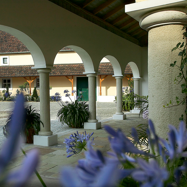 Wagram Rose vom Zweigelt 2024 0.75 l