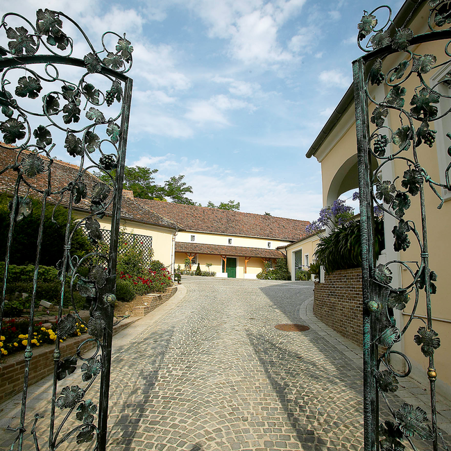 Wagram Rose vom Zweigelt 2024 0.75 l