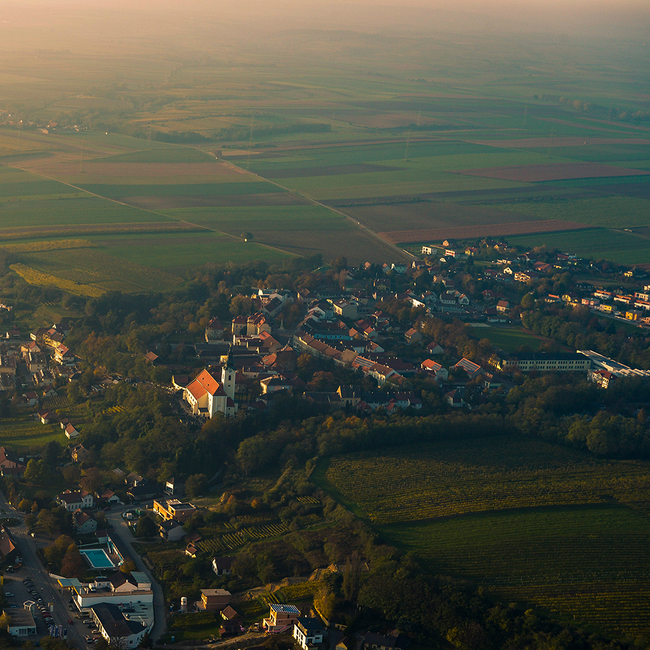 Riesling Wagram 2024 0.75 l