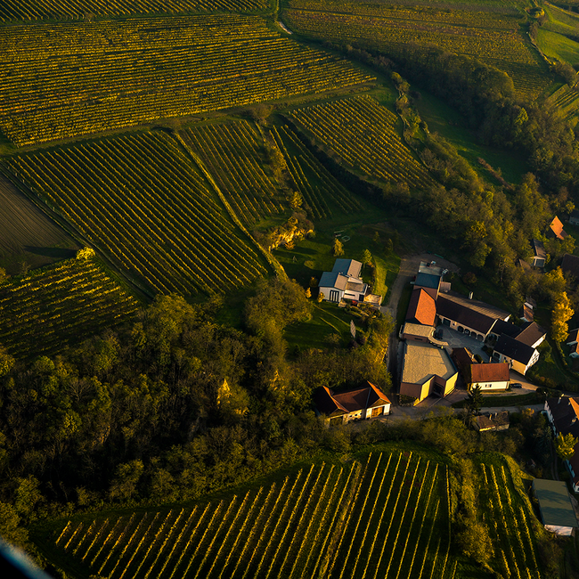 Riesling Wagram 2024 0.75 l