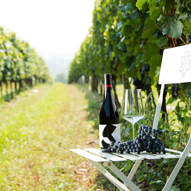 Zweigelt Dornenvogel Carnuntum DAC 2021 0.75 l