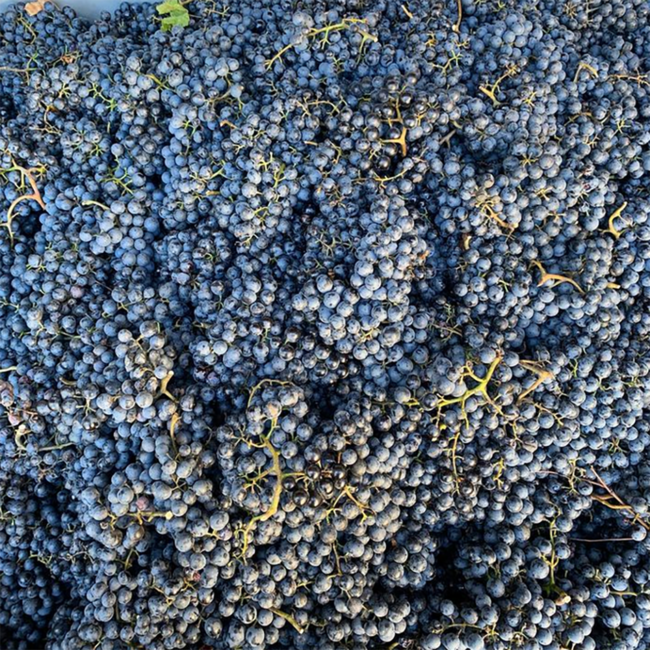 Genesis (ZW/ME) Carnuntum DAC 2022 0.75 l