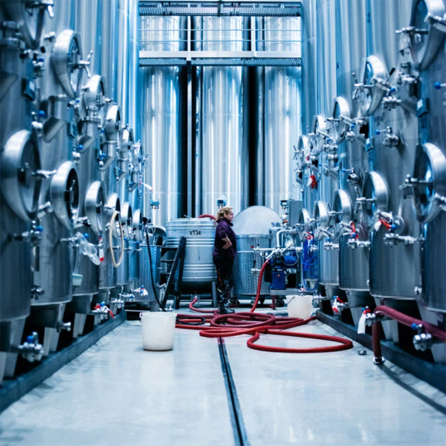 Welschriesling OPOK Südsteiermark DAC 2025 0.75 l