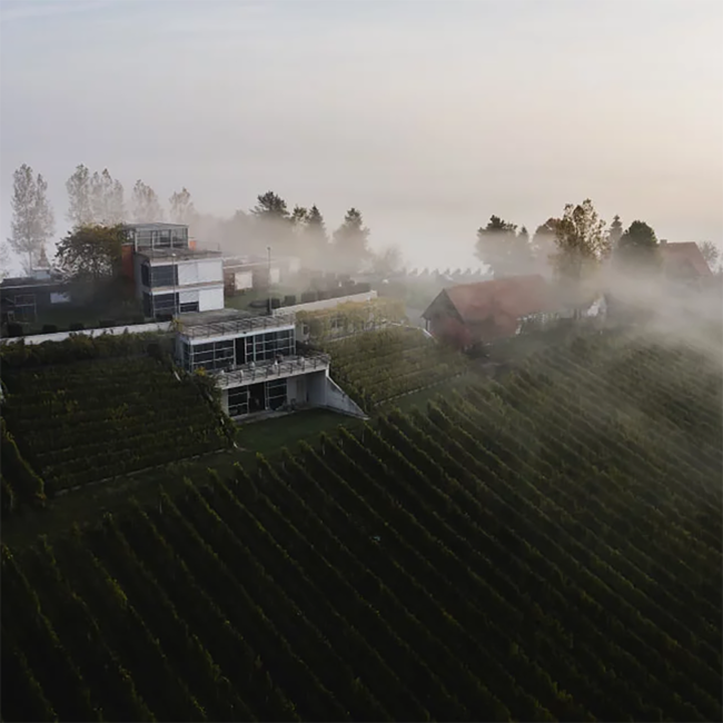 Welschriesling OPOK Südsteiermark DAC 2025 0.75 l