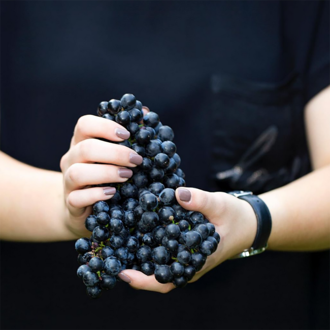 Gotinsprun (BF/ZW/SY/ME) 2022 0.75 l