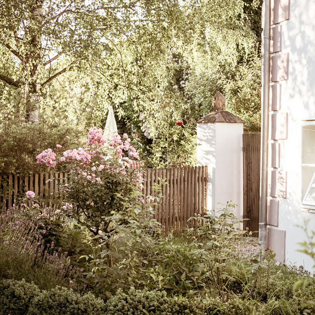 Grüner Veltliner Hirschvergnügen DAC BIO 2023 0.75 l