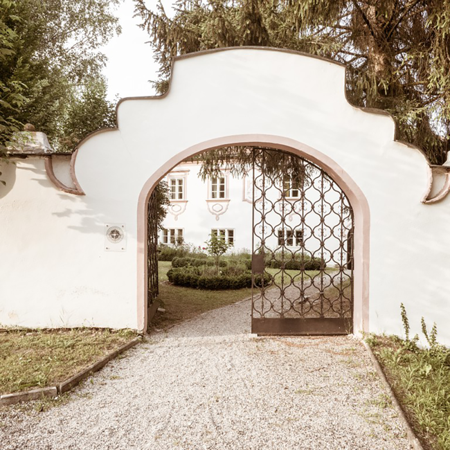 Grüner Veltliner Hirschvergnügen DAC BIO 2023 0.75 l