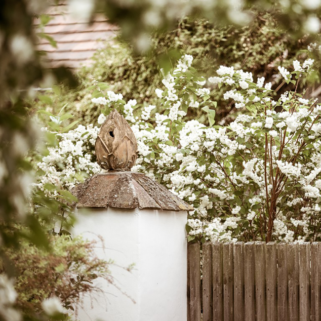 Grüner Veltliner Ried Grub 1ÖTW DAC 2021 0.75 l