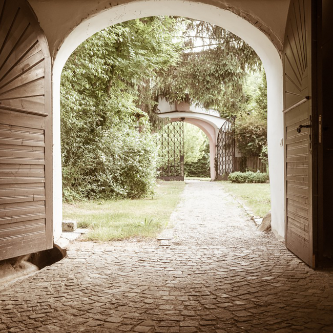 Grüner Veltliner Kammern Kamptal DAC 2024 0.75 l