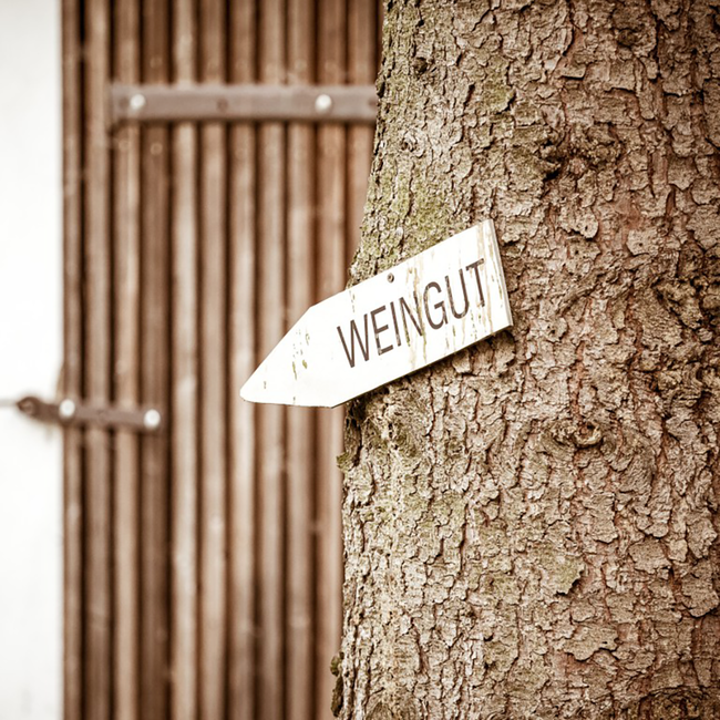 Riesling Ried Gaisberg 1ÖTW Zöbing Kamptal DAC 2021 0.75 l