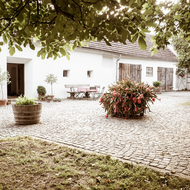 Riesling Zöbing Kamptal DAC 2023 0.75 l