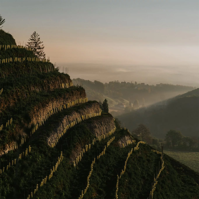 Ried Grassnitzberg Riff Sauvignon Blanc 1 STK 2022 0.75 l