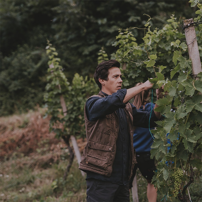 Ried Grassnitzberg Riff Sauvignon Blanc 1 STK 2021 0.75 l