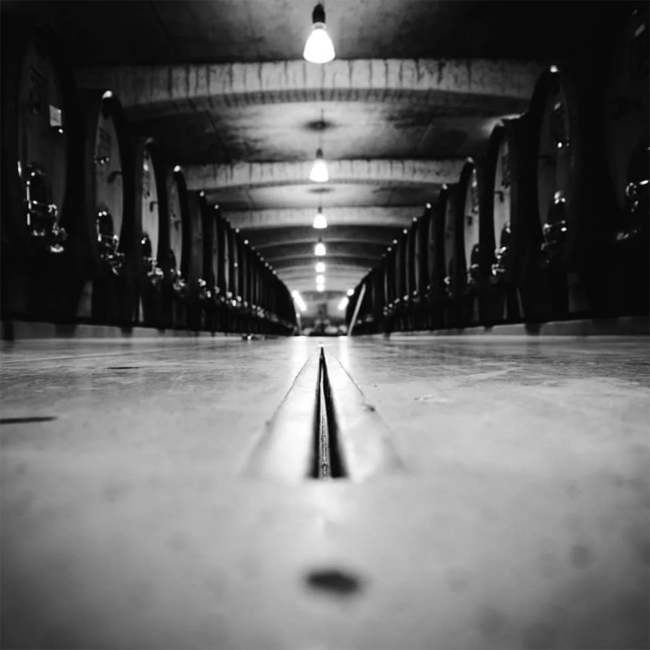 Sauvignon Blanc Ried Grassnitzberg RIFF 1STK 2022 0.75 l