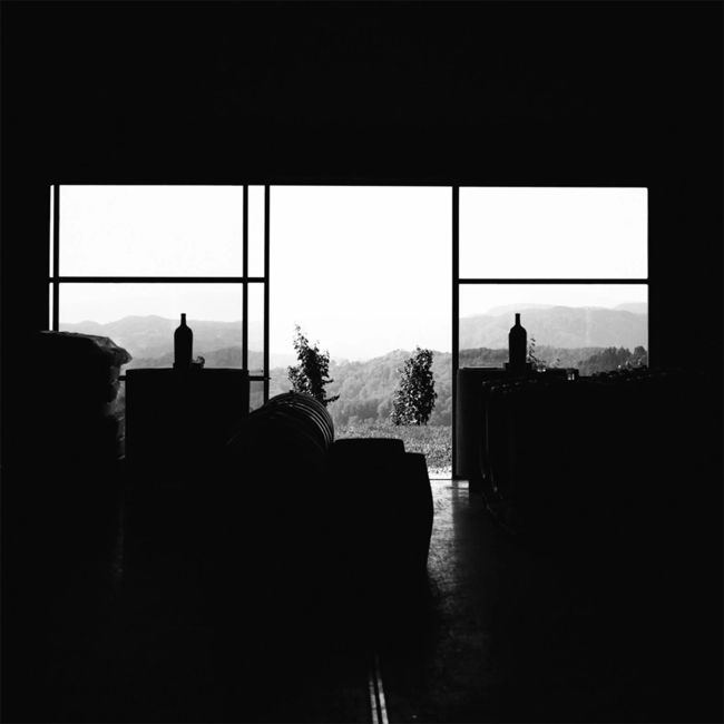 Sauvignon Blanc Ried Sernau König GSTK 2020 0.75 l