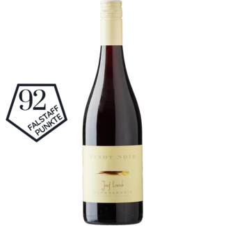 Zur Dankbarkeit / Podersdorf Pinot Noir 2021 0.75 l