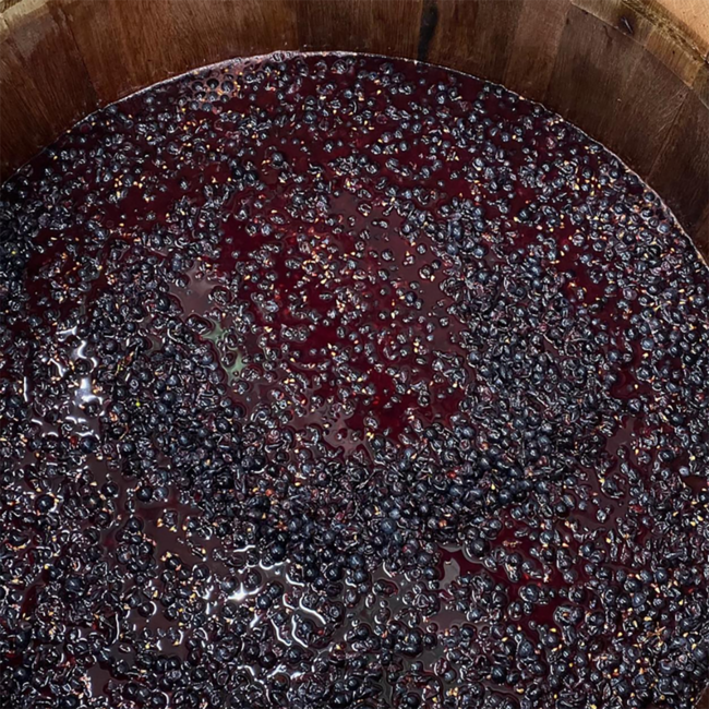 zB (BF/ZW/PN) 2023 0.75 l