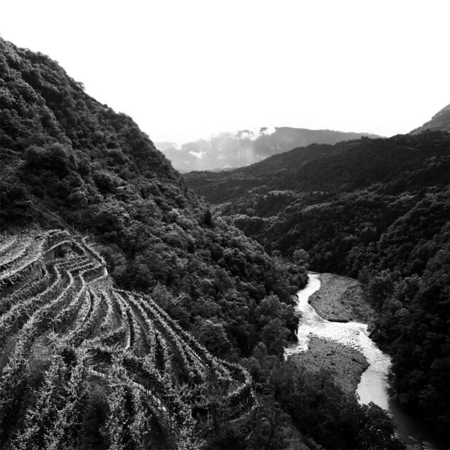 Ferrari Perle Bianco Riserva 2016 0.75 l 12.5 % vol