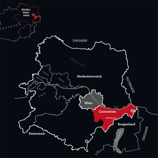 Zweigelt Dornenvogel Carnuntum DAC 2023 0.75 l