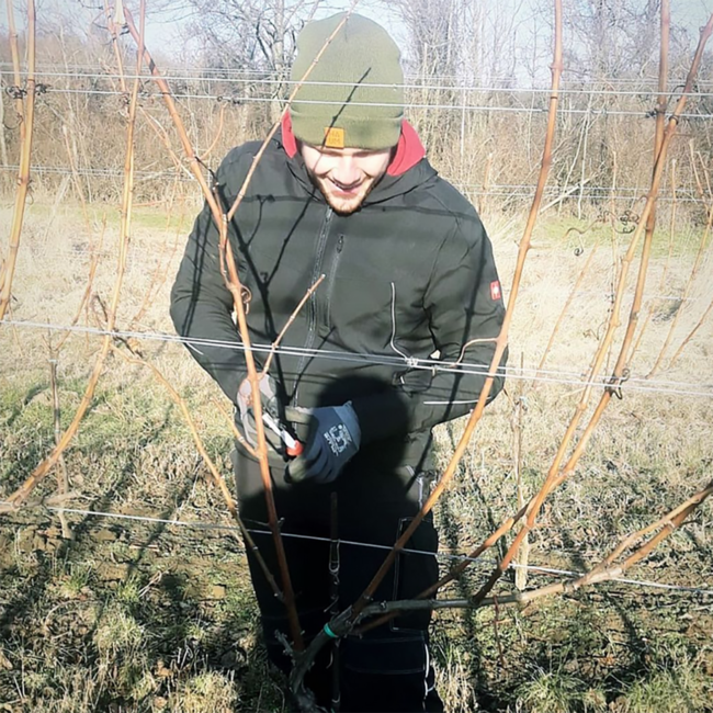 Sauvignon Blanc 2024 0.75 l