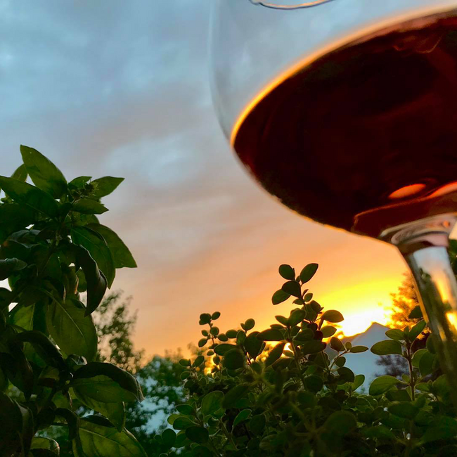 St. Laurent Ried Herrschaftswald 2024 0.75 l