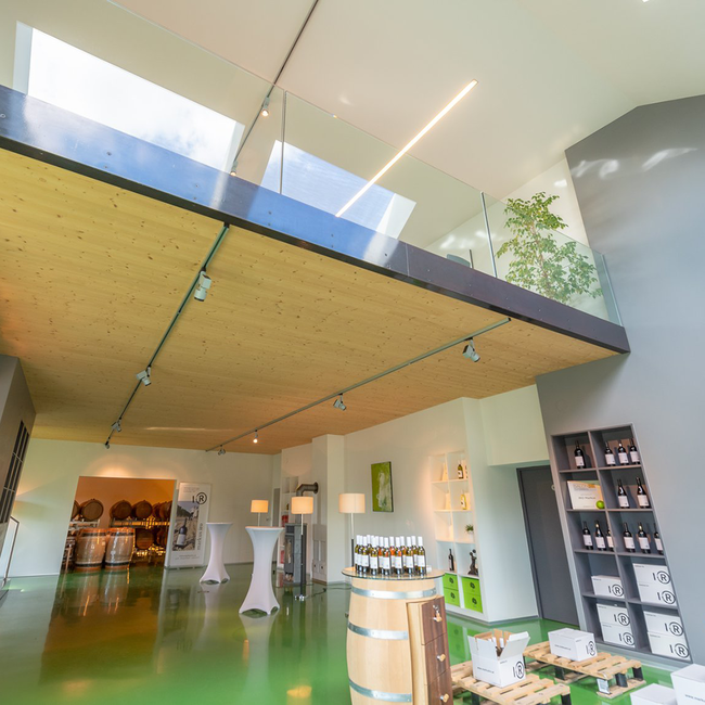 Merlot Ried Gabarinza 2025 0.75 l