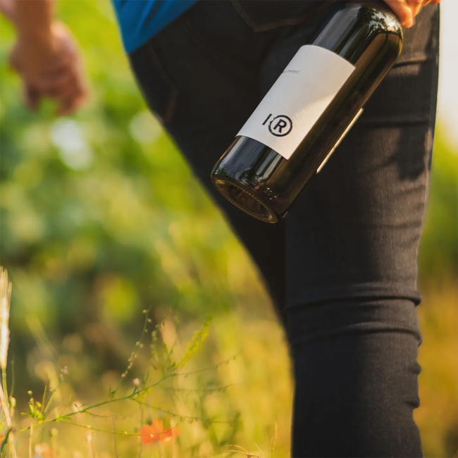 Zweigelt Neusiedlersee DAC 2024 0.75 l