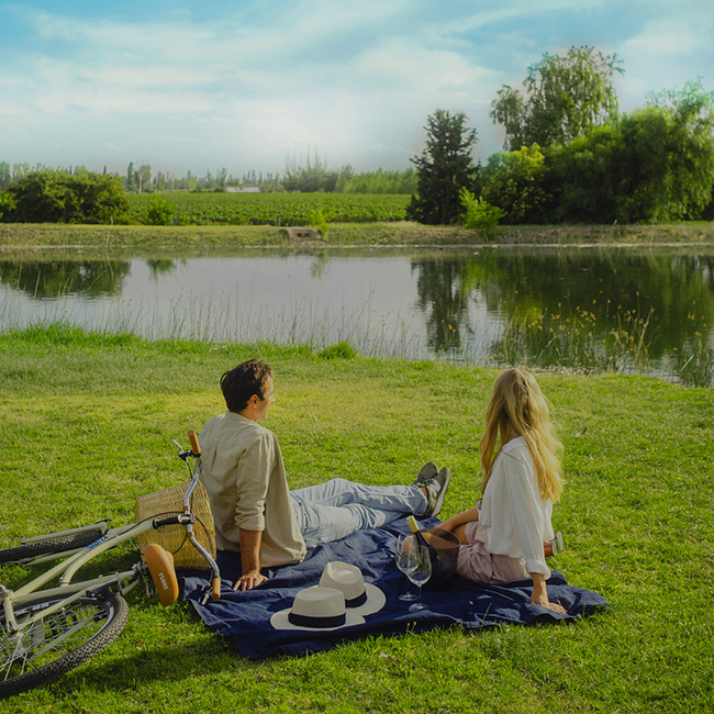 Cabernet Sauvignon Barrel Select 2024 0.75 l