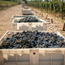 Malbec Barrel Select 2025 0.75 l