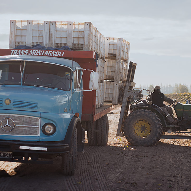 Malbec Barrel Select 2024 0.75 l