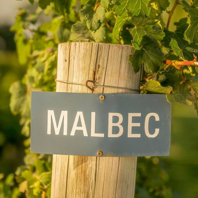 Malbec Barrel Select 2024 0.75 l