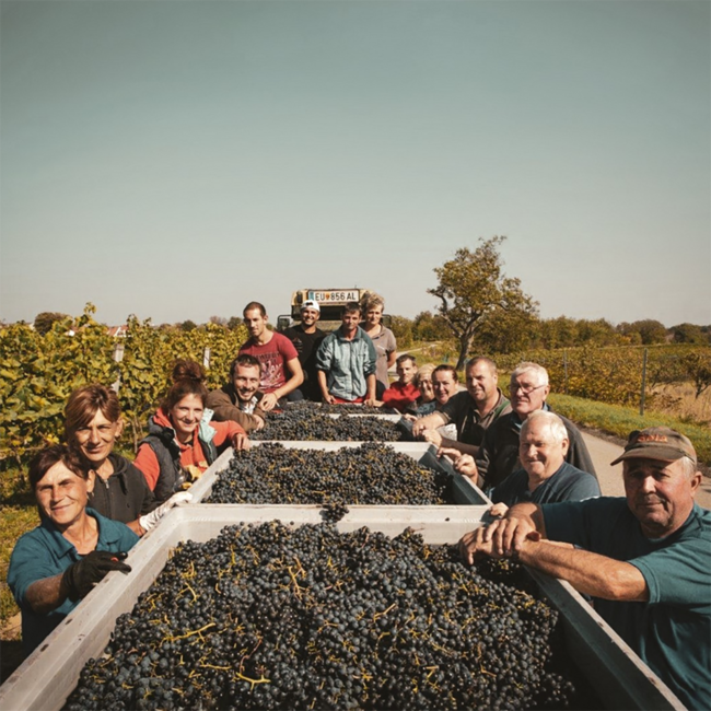 Schützner Stein Merlot 2021 0.75 l