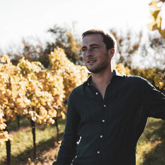 Chardonnay Schützen am Gebirge Sinner 2025 0.75 l