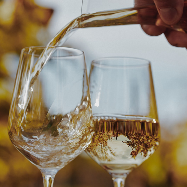 Pinot Blanc Weissburgunder Ried Seeberg Bio 2024 0.75 l