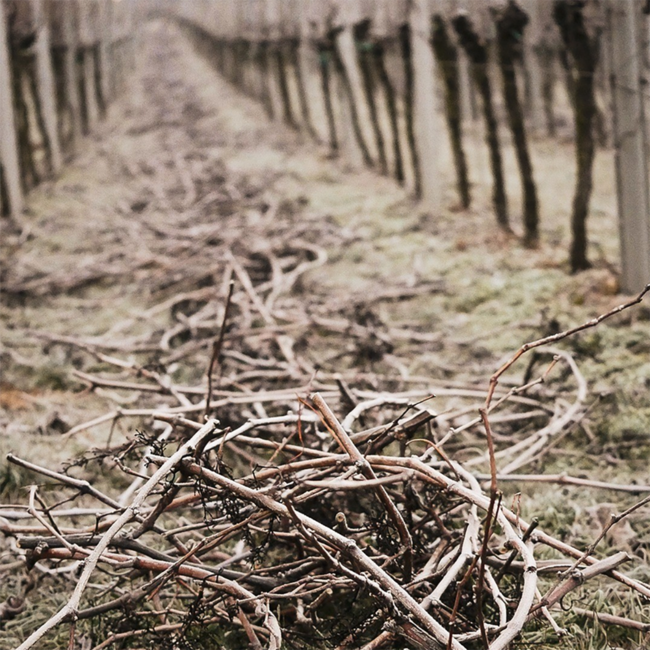 Blaufränkisch Oggau Johanneshöhe 2022 0.75 l