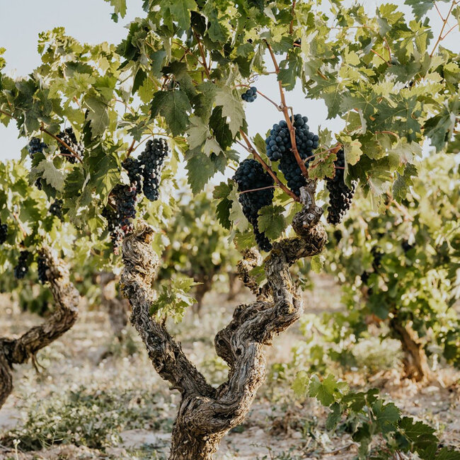 Cune Viña Real Gran Reserva 2017 0.75 l